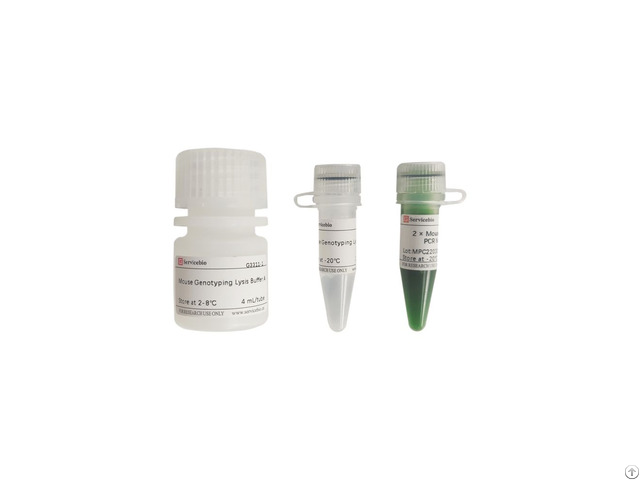 Mouse Genotyping Kit
