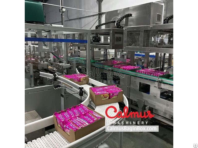 Tray Packer For Instant Ramen Pillow Packs