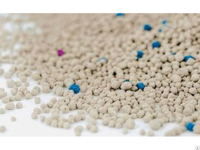 Bentonite Vs Tofu Cat Litter