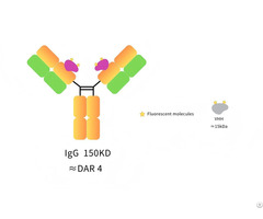Anti Human Igg Ch1 Fragment Specific Alpsdabs® Vhh Ifluor647 ×4