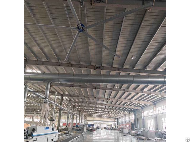 A Big Hvls Ceiling Fans For Livestock