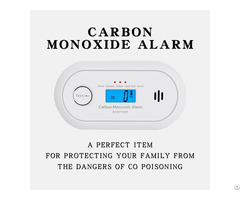 Portable Carbon Monoxide Detector