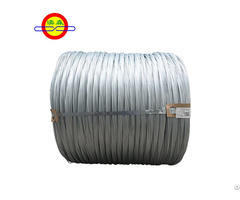 Electro Galvanized Iron Wire Manufacturer
