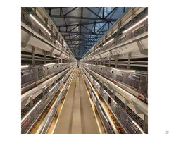 H Type Full Automatic Broiler Quail Cage
