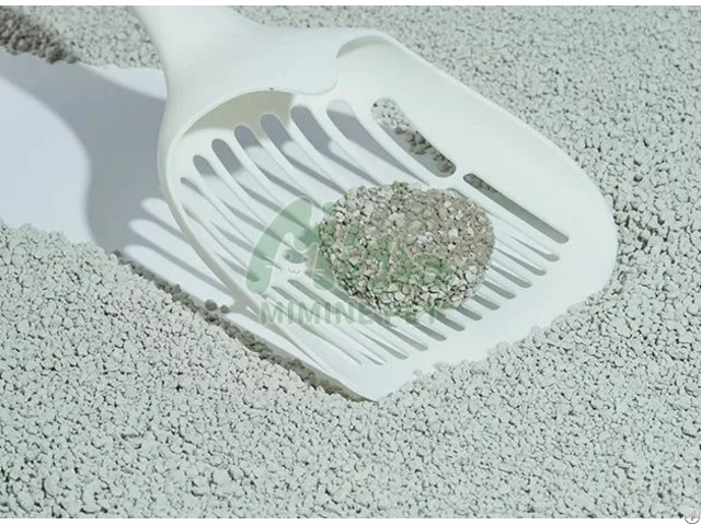 Cat Litters
