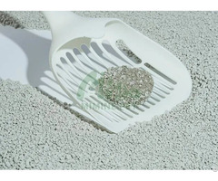Cat Litters