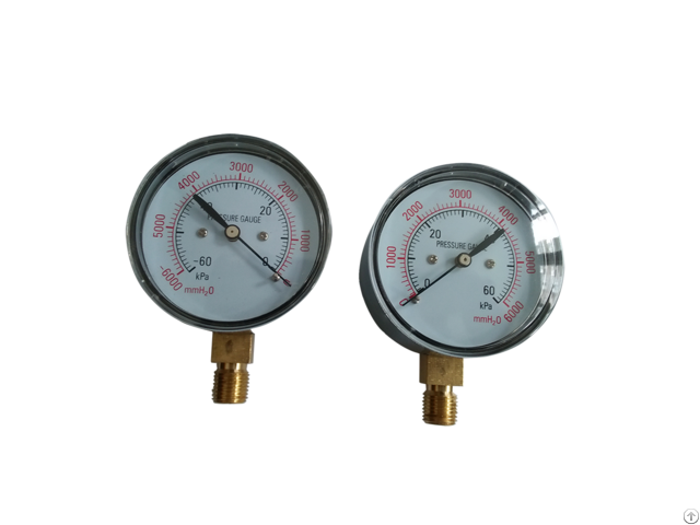 Negative Pressure Vacuum Gauges Product Category
