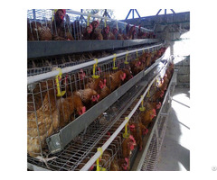 Battery Chicken Layer Cage Sale For Farm