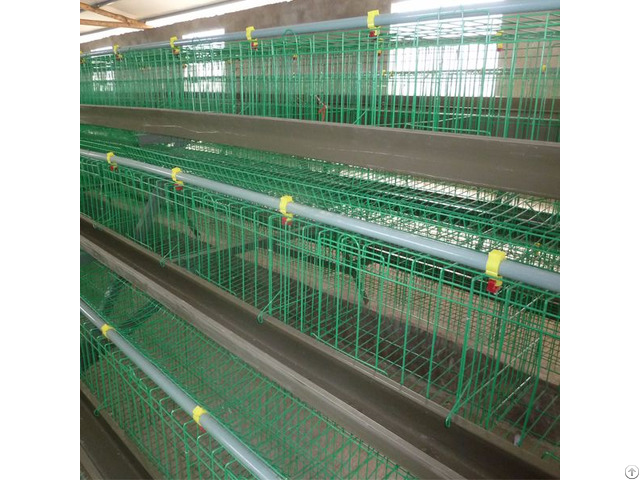 Type H Commercial Poultry Layer Cages