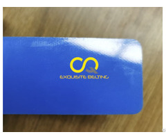 3mm Blue Pvc Conveyor Belt