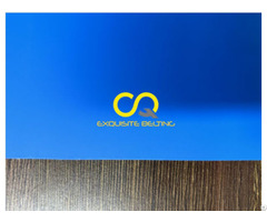 Fda Blue Pu Conveyor Belt For Seafood