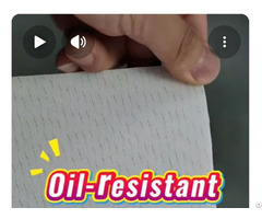 Oil Resistant And Non Toxic Pe Conveyor Belt