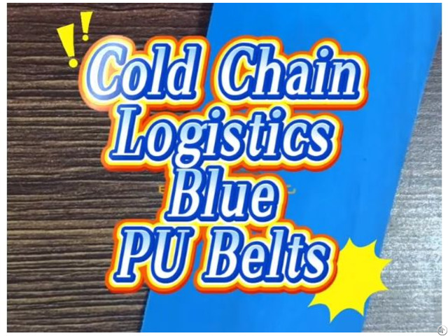 Blue Pu Conveyor Belts For Cold Chain Logistics