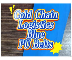 Blue Pu Conveyor Belts For Cold Chain Logistics