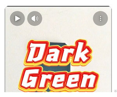 Dark Green Pu Conveyor Belt