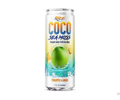 Sea Moss Drink With Coconut Pineapple And Ginger Flavor 325ml Can