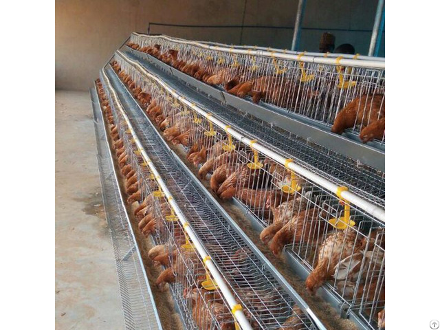Egg Layer Farm Chicken Cage For Exporting