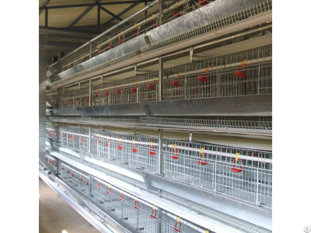 Broiler Battery Cage For Layer Chicken Farm Shed