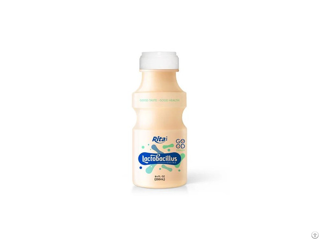 Wholesale Lactobacillus Drink 250ml
