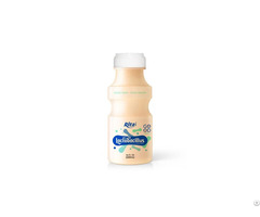 Wholesale Lactobacillus Drink 250ml