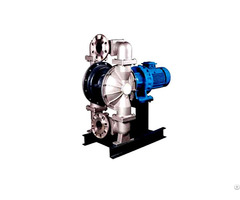 Rybfd 80 Nodular Cast Iron Diaphragm Pump