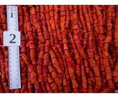 Sell Natural Coral Beads