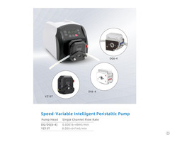 Rybt101ss Speed Variable Peristaltic Pump
