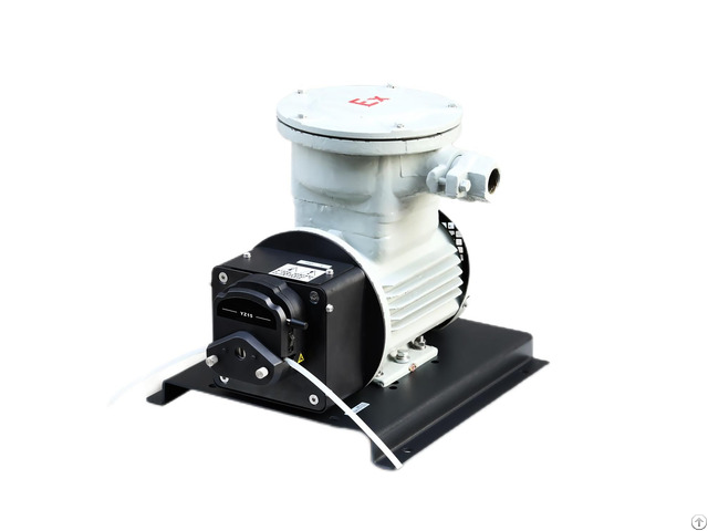 Ryfp300s A3 Frequency Conversion Explosion Proof Motor Peristaltic Pump