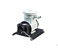 Ryfp300s A3 Frequency Conversion Explosion Proof Motor Peristaltic Pump