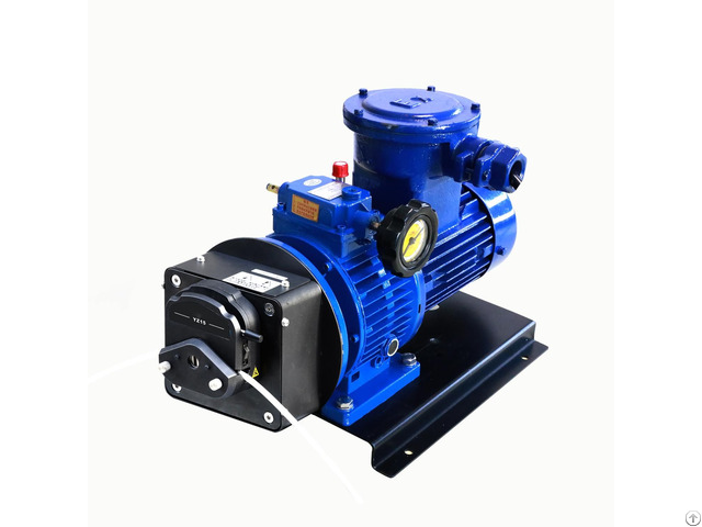 Ryfp300s A5 Explosion Proof Motor Peristaltic Pump