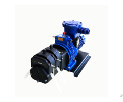 Fg601s W3 Peristaltic Pump
