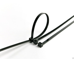 Pa66 Nylon Cable Ties