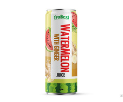 Trobest Watermelon Juice With Ginger 325ml Can Refreshing Fruit Drink