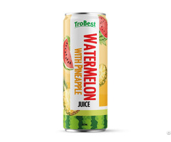 Trobest Watermelon Juice With Pineapple 325ml Can Refreshing Fruit Drink