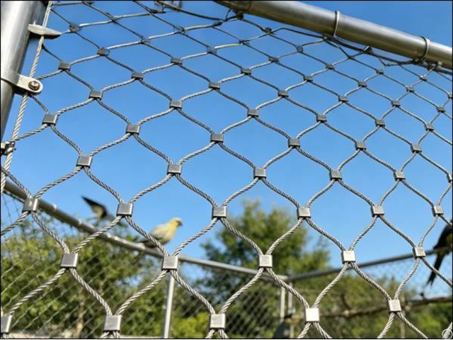 High Tensile Stainless Steel Wire Rope Net Mesh For Zoo Animal Enclosures