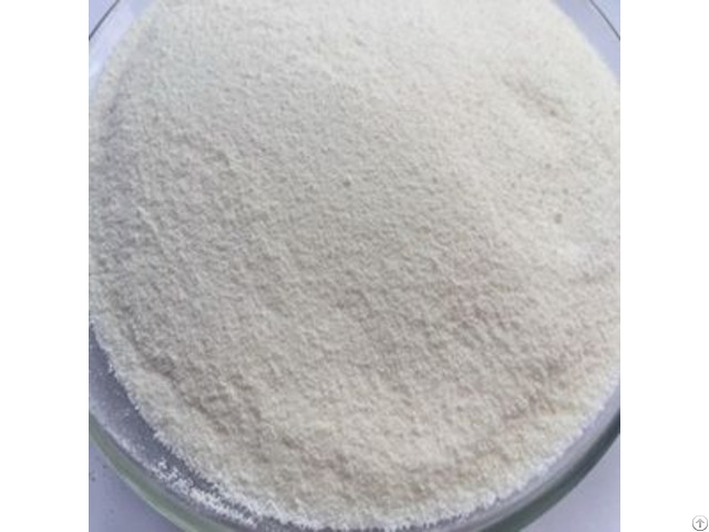 Foaming Creamer