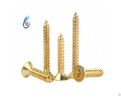 China Self Tapping Screw