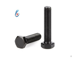 High Strength Black Oxide Hex Screws