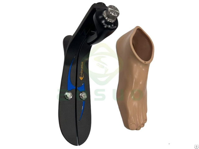 Endurance Carbon Fiber Foot