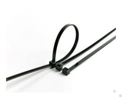 Pa66 Nylon Cable Ties