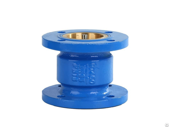 Silent Check Valves
