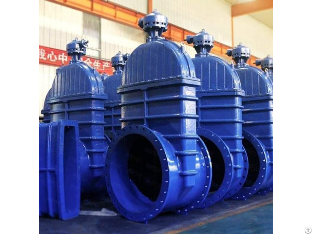 Resilient Gate Valve