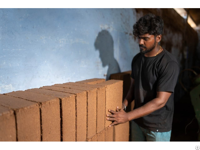 Cocopeat Blocks