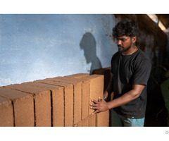 Cocopeat Blocks