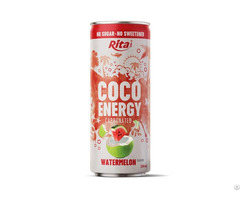Rita Coco Energy Carbonated Watermelon Flavor Wholesale Beverage