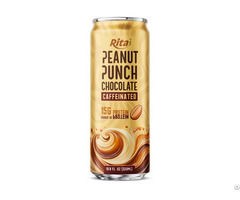 Peanut Punch Chocolate Caffeinated 15g Protein 10 8 Fl Oz Cans Wholesale Beverage