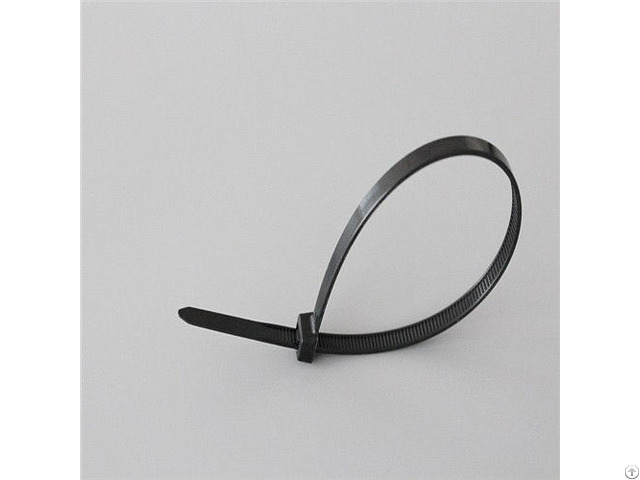 Pa66 Nylon Cable Ties