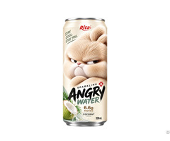 Sparkling Coconut Water With Protein 330ml