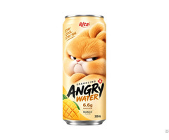 Sparkling Mango Juice With Protein 330ml