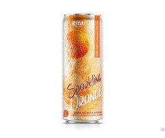 Best Flavor Sparkling Water Mix Orange 320ml Sleek Can